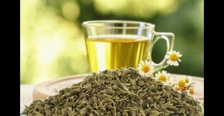 فوائد الأعشاب وأهميتها للجسم